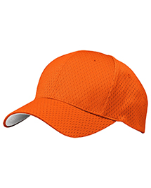 Mens Pro Mesh Cap