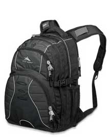 High Sierra Swerve Daypack