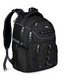 High Sierra Randolph Daypack