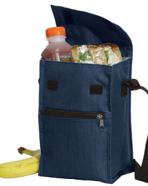  Insulated Lunch Cooler.