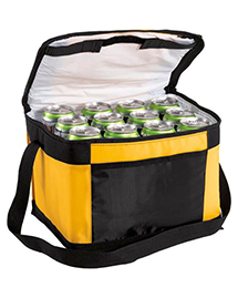 Port Authority 12 Pack Cooler